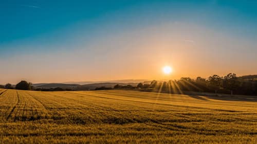 A farm field at sunset