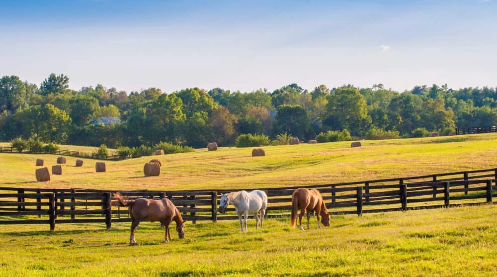 Horse ranch with barn at sunrise